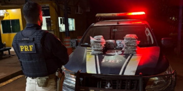 PRF apreende mais de 10 kg de Skunk na BR-425