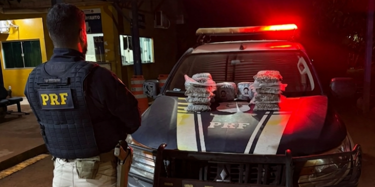 PRF apreende mais de 10 kg de Skunk na BR-425