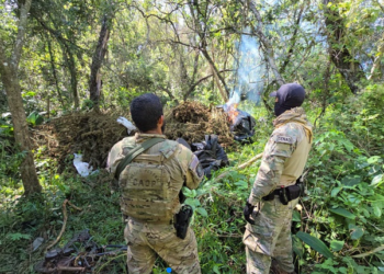 PF e SENAD Paraguai encerram 55° fase da Operação Nova Aliança