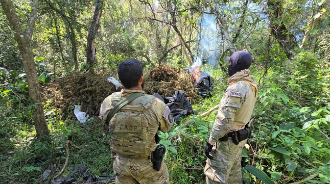 PF e SENAD Paraguai encerram 55° fase da Operação Nova Aliança