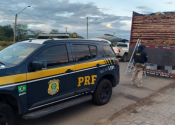 PRF e IBAMA apreendem 165 m³ de madeira ilegal durante operação no Sertão