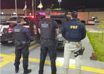 Ação integrada entre PRF, Receita Federal e Polícia Civil do RN resulta na apreensão de quase uma tonelada de droga em Campo Redondo/RN