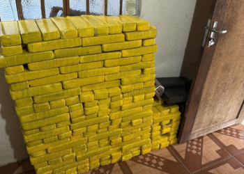 PF e PM apreendem mais de 340 kg de maconha e prendem dois homens em Foz do Iguaçu/PR