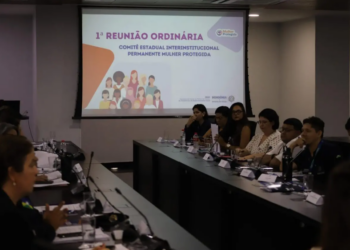 Ações do governo de RO para o combate à violência doméstica são destacadas em reunião do Comitê Estadual Mulher Protegida