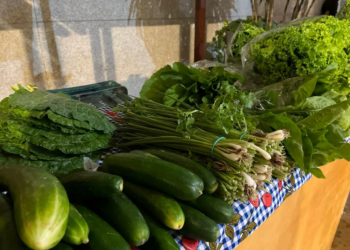 Governo de RO fortalece agricultura familiar por meio do edital PAA Rondônia 2026