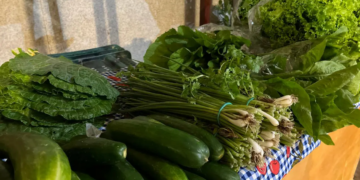 Governo de RO fortalece agricultura familiar por meio do edital PAA Rondônia 2026