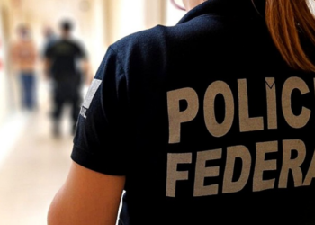 PF combate tráfico de drogas por via postal em Pernambuco