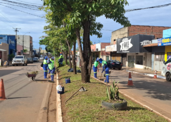 Limpeza simultânea mostra um novo rosto da cidade de Porto Velho