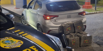PRF prende foragido da Justiça com quase 120 quilos de maconha após perseguição na BR-101 em Joinville