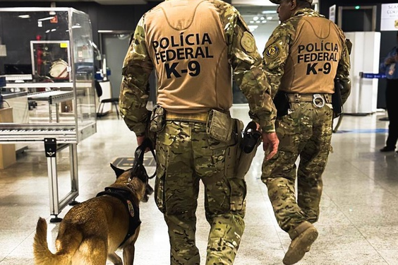 PF prende três pessoas e autua dois indivíduos no Aeroporto de Guarulhos