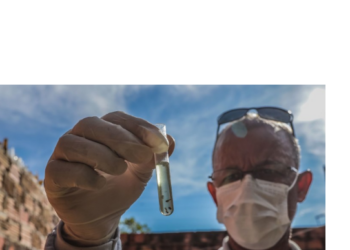Prefeitura intensifica combate à dengue e mantém Porto Velho sem óbitos pela doença em 2026