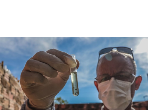 Prefeitura intensifica combate à dengue e mantém Porto Velho sem óbitos pela doença em 2026