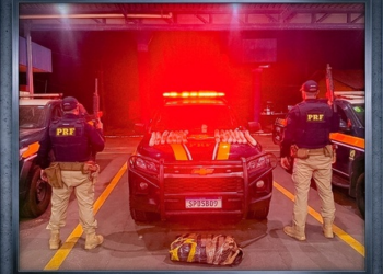 PRF apreende material explosivo transportado em ônibus de passageiros na BR-174