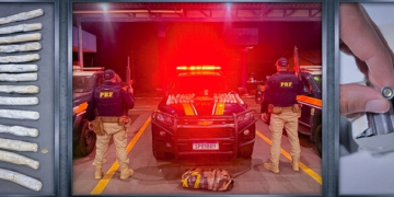 PRF apreende material explosivo transportado em ônibus de passageiros na BR-174