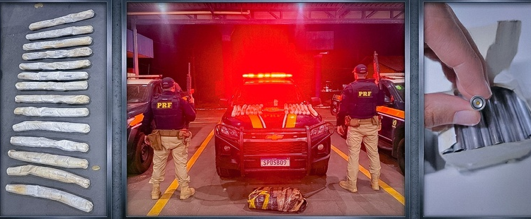 PRF apreende material explosivo transportado em ônibus de passageiros na BR-174