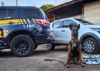 PRF apreende mais de 13 kg de haxixe escondidos no painel de carro na BR-040