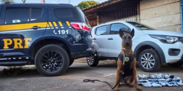 PRF apreende mais de 13 kg de haxixe escondidos no painel de carro na BR-040