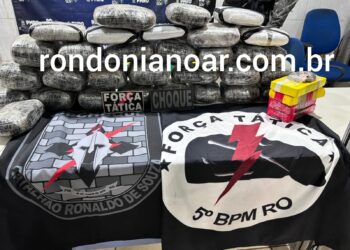 PM apreende grande quantidade de drogas em carreta de soja na BR-364, em Nova Mamoré- VEJA O VIDEO