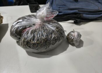 PM prendeu homem com maconha após abordagem em motocicleta na zona leste de Porto Velho
