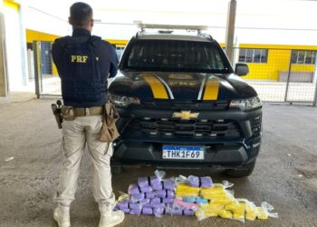 PRF em Rondônia apreende mais de 30 kg de entorpecentes na BR-364