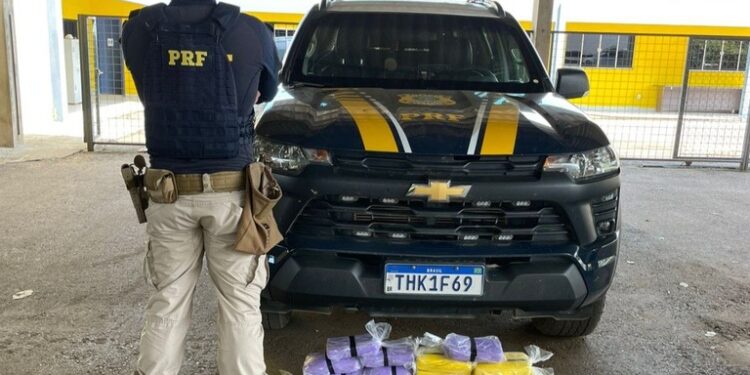 PRF em Rondônia apreende mais de 30 kg de entorpecentes na BR-364
