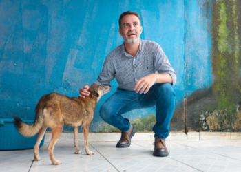 Prefeitura abrirá o chamamento para cadastro de protetoras de animais