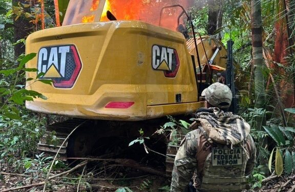 PF e ICMBio combatem garimpo ilegal em Rondônia