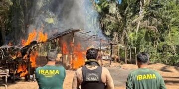 PF e Ibama combatem invasões e desmatamento em Reserva Legal da União