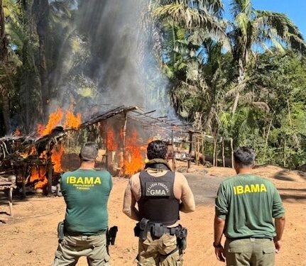 PF e Ibama combatem invasões e desmatamento em Reserva Legal da União