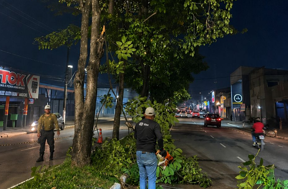 Ação integrada de poda noturna melhora segurança e iluminação nas principais vias da capital