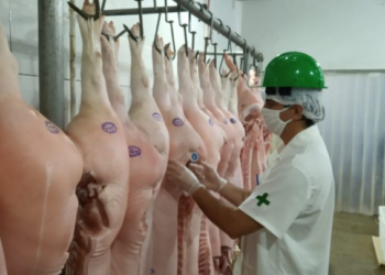 Empresas privadas poderão se credenciar na Idaron para inspeção sanitária em frigoríficos de Rondônia