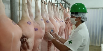 Empresas privadas poderão se credenciar na Idaron para inspeção sanitária em frigoríficos de Rondônia