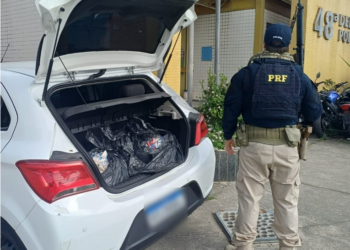 PRF apreende cerca de 45 kg de drogas na Dutra, em Seropédica