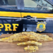 PRF bate recordes no combate aos crimes ambientais com o Plano AMAS