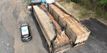 PRF apreende 97 m³ de madeira ilegal no Tocantins durante a Semana Mundial do Meio Ambiente
