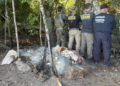 Operação IARA apreende armas, munições e petrechos utilizados em crimes ambientais no Rio Guaporé