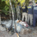 Operação IARA apreende armas, munições e petrechos utilizados em crimes ambientais no Rio Guaporé
