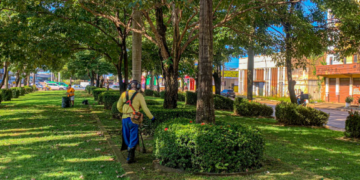 Limpeza, roço e recolhimento de resíduos atendem diferentes regiões de Porto Velho