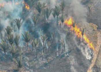 Fenômeno natural El Niño aumenta risco de queimadas durante a estiagem em Porto Velho