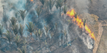 Fenômeno natural El Niño aumenta risco de queimadas durante a estiagem em Porto Velho