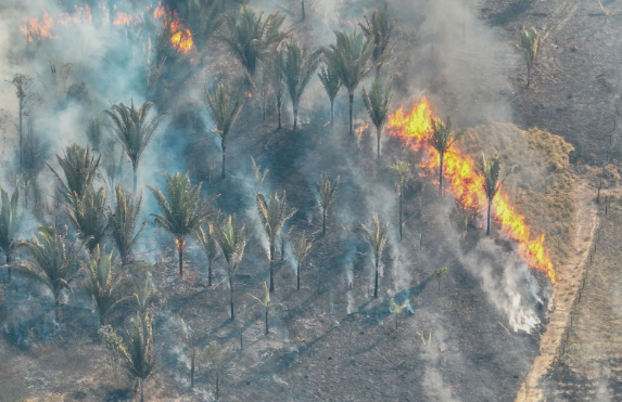 Fenômeno natural El Niño aumenta risco de queimadas durante a estiagem em Porto Velho