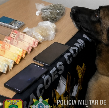 FORÇA TÁTICA E CANIL DA PMRO DESMANTELA PONTO DE VENDA DE DROGAS EM COLORADO DO OESTE