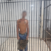Polícia Militar prende suspeito de estupro de vulnerável e violência doméstica em Porto Velho