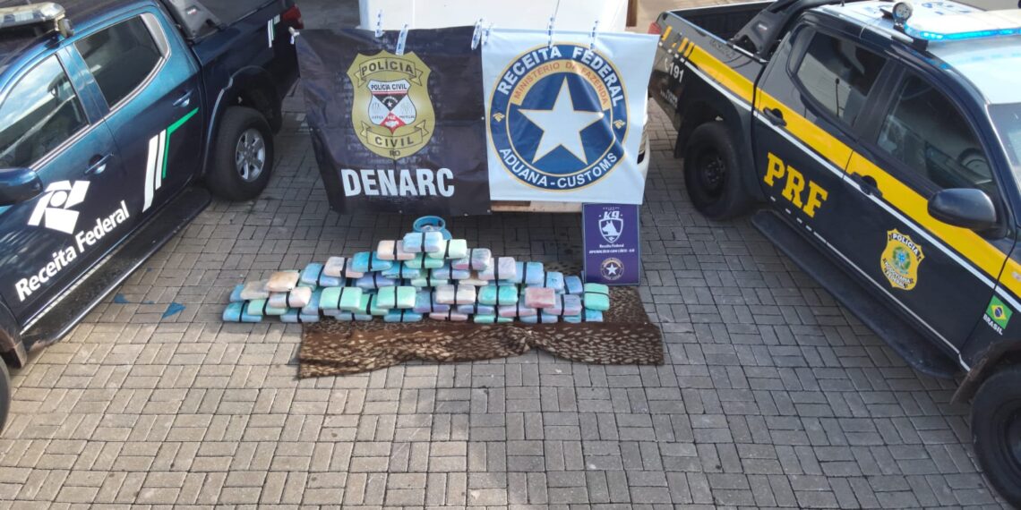 Denarc, Receita Federal e PRF apreendem cerca de 73 kg de skunk na BR-319