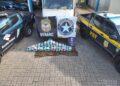 Denarc, Receita Federal e PRF apreendem cerca de 73 kg de skunk na BR-319