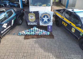 Denarc, Receita Federal e PRF apreendem cerca de 73 kg de skunk na BR-319