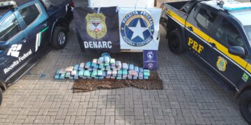 Denarc, Receita Federal e PRF apreendem cerca de 73 kg de skunk na BR-319