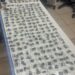 OPERAÇÃO BRASIL CONTRA O CRIME ORGANIZADO RESULTA EM PRISÃO E APREENSÃO DE 480 PORÇÕES DE DROGA EM PORTO VELHO