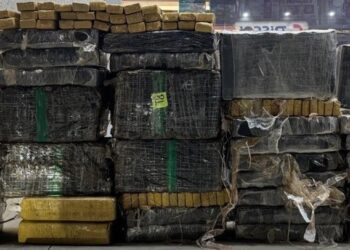 FICCO/PR apreende cerca de 700 kg de maconha