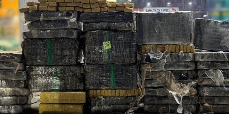 FICCO/PR apreende cerca de 700 kg de maconha